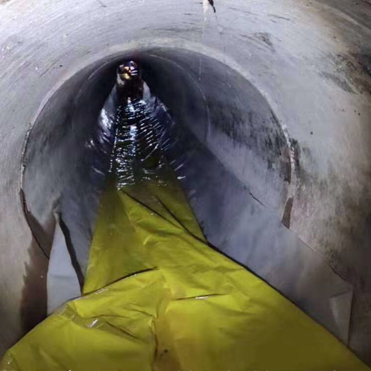 黎安镇管道光固化修复